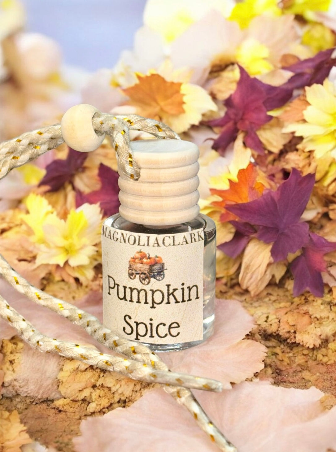 Car Diffusers| Fall Collection