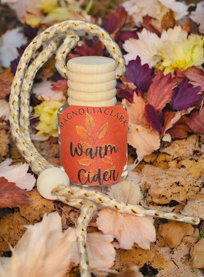 Wholesale Car Diffusers- Case of 4