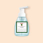 Peppermint Foam Hand Soap- Holiday- Case of 2
